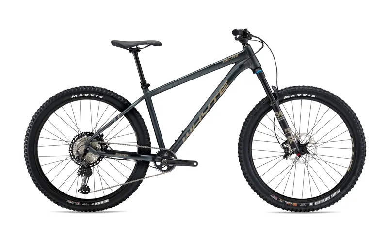Whyte 909 V3 Hardtail Trail Mountain Bike 2021 in Matt Zinc Silver